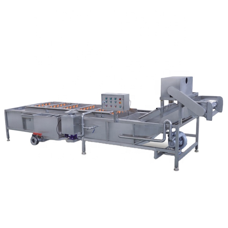 Fully Automatic Industrial Aloe Vera Products Processing And Cleaning Machine