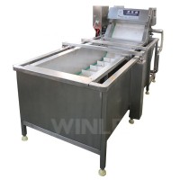 Commercial washing machine bubble washing machine ozone vegetable washing machine